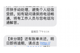 攸县攸县的要账公司在催收过程中的策略和技巧有哪些？